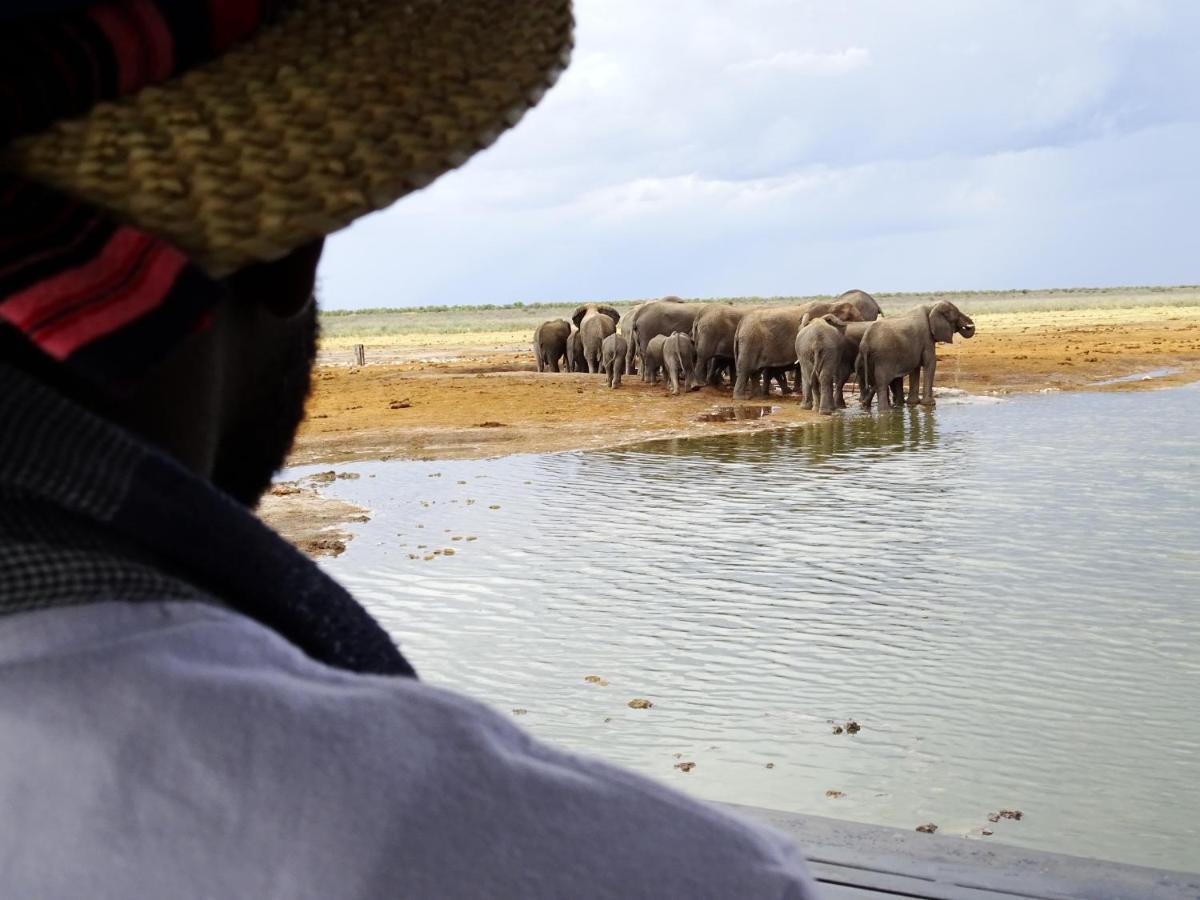 Etosha King Nehale Lodge Omuthiya Exterior foto